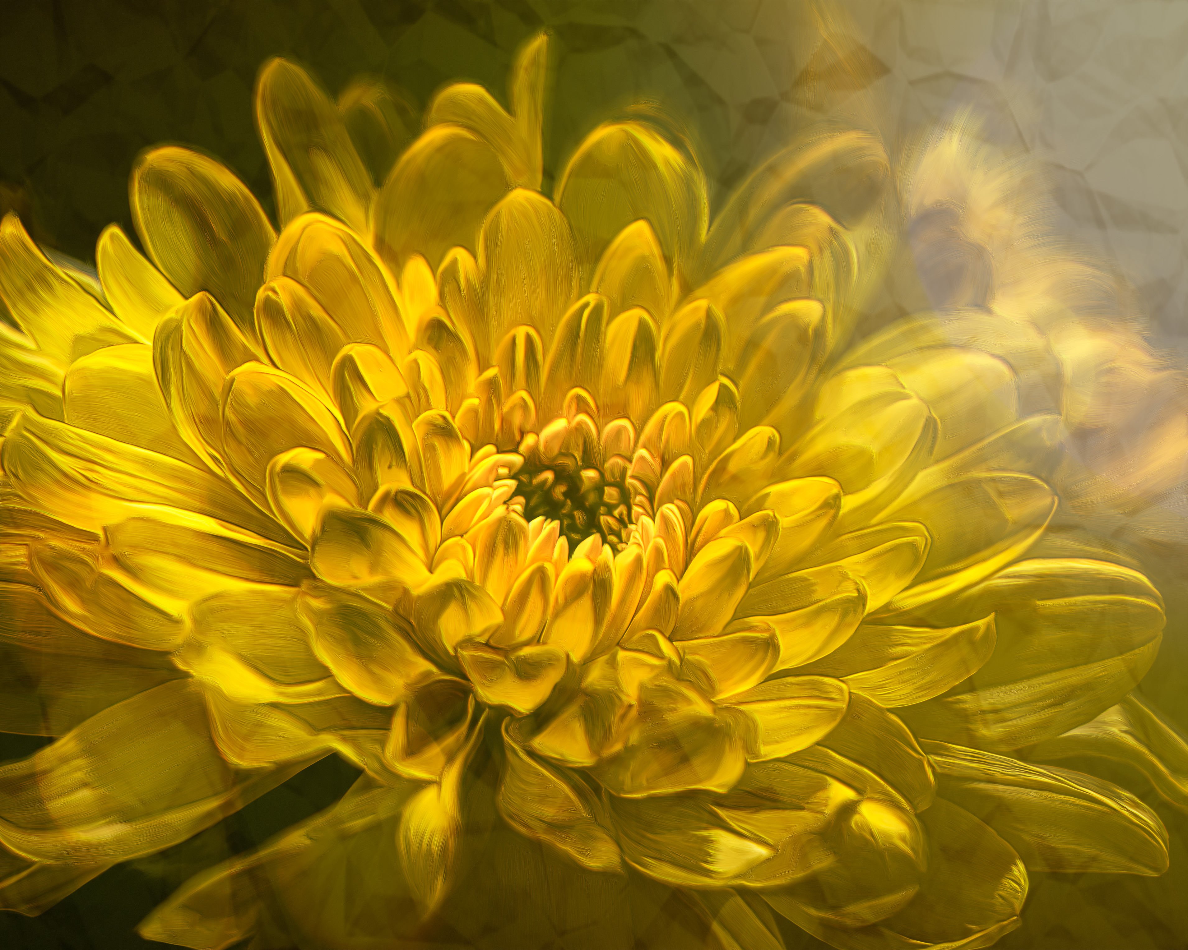 Yellow Glow_SMK0906-flatten -Edit.jpg