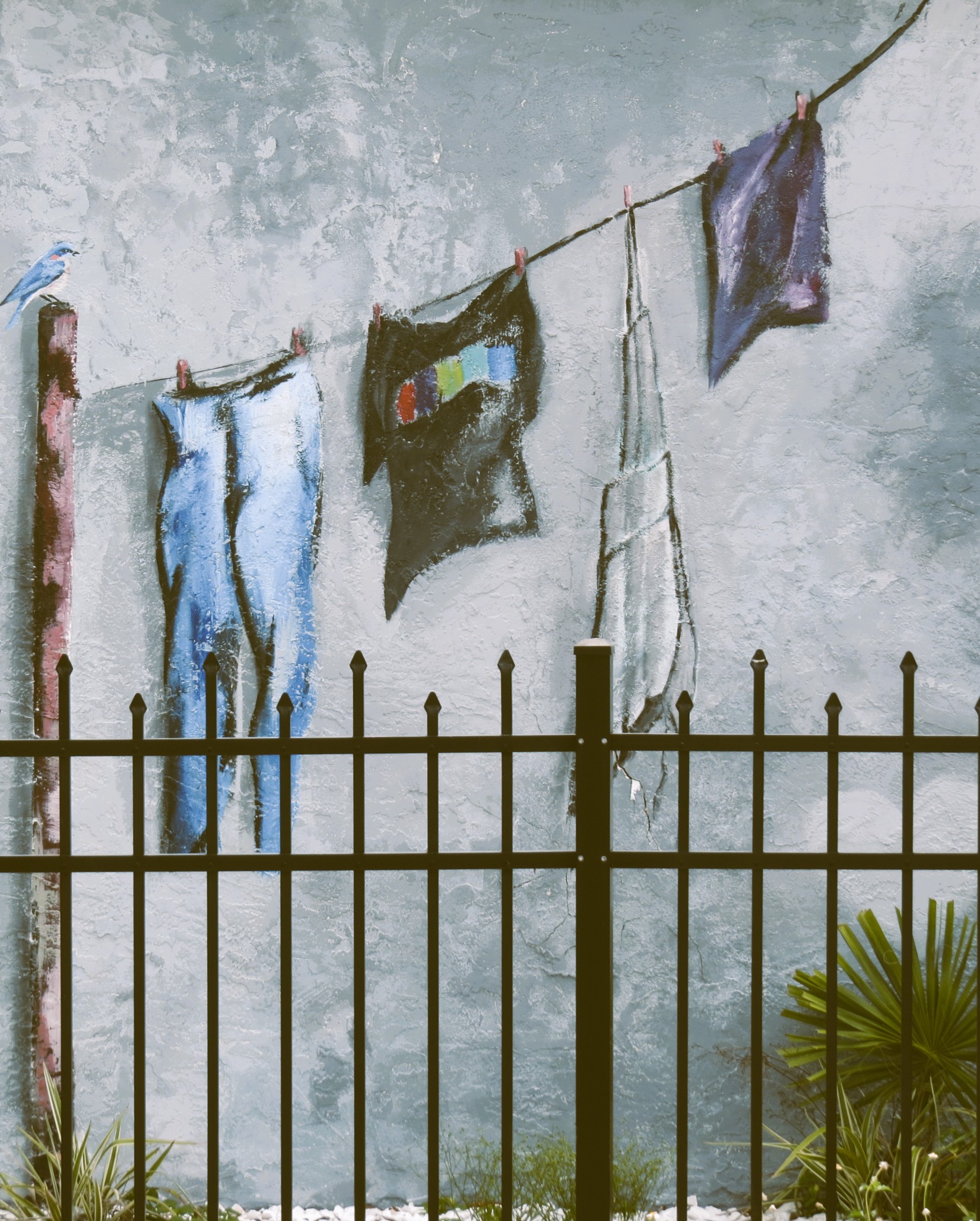 Safty Harbour Laundry.JPG