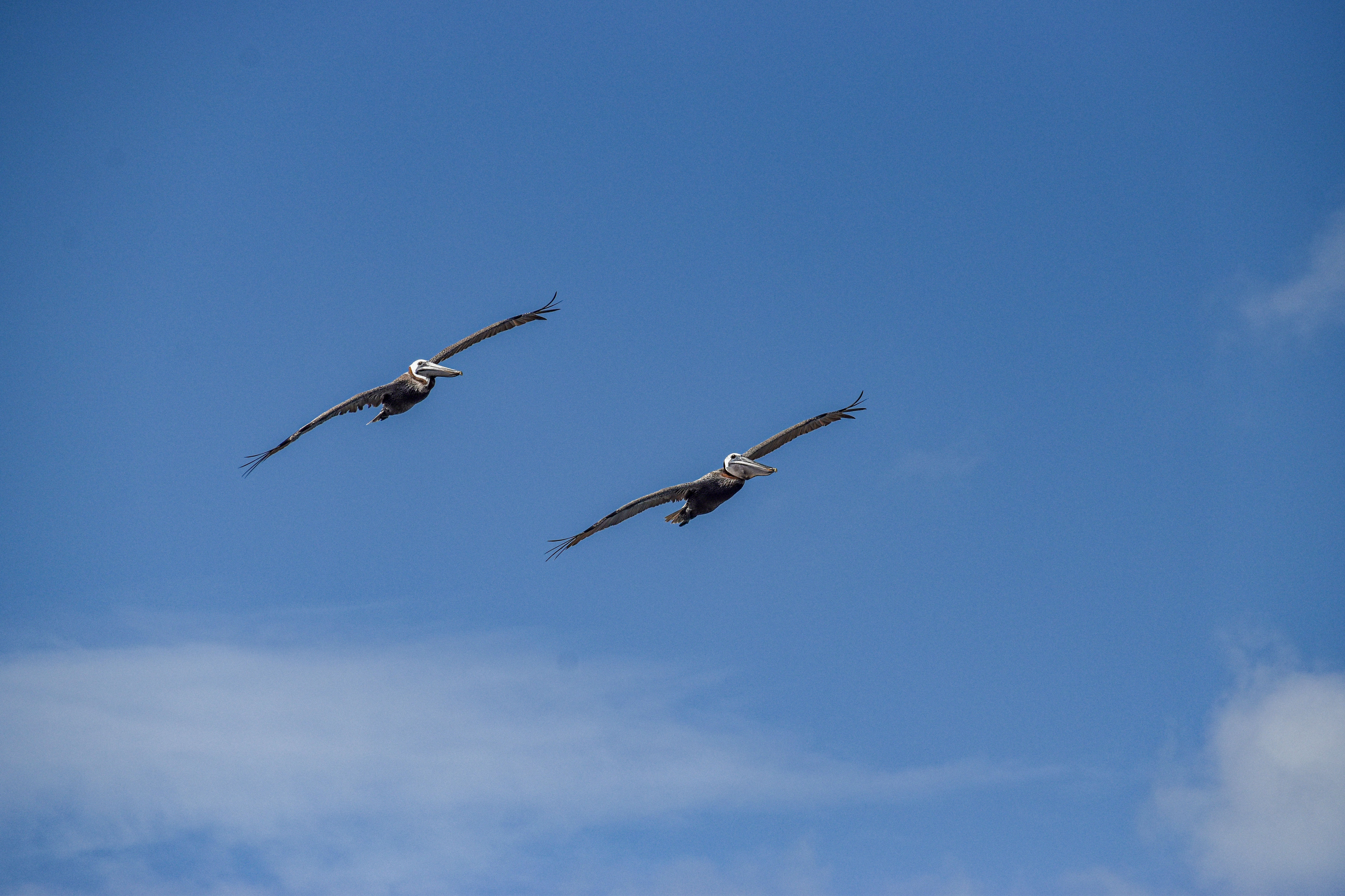 In Formation