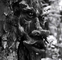 face in the woods.JPG