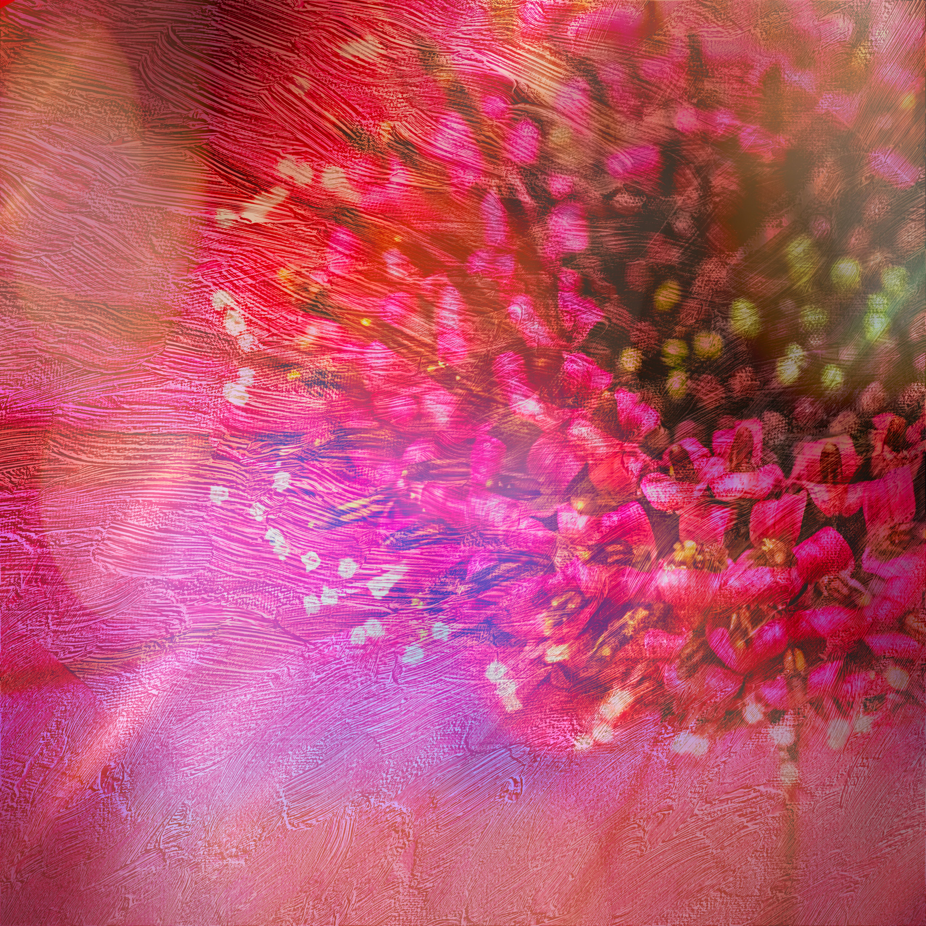 Daisy2_SMK1049.jpg