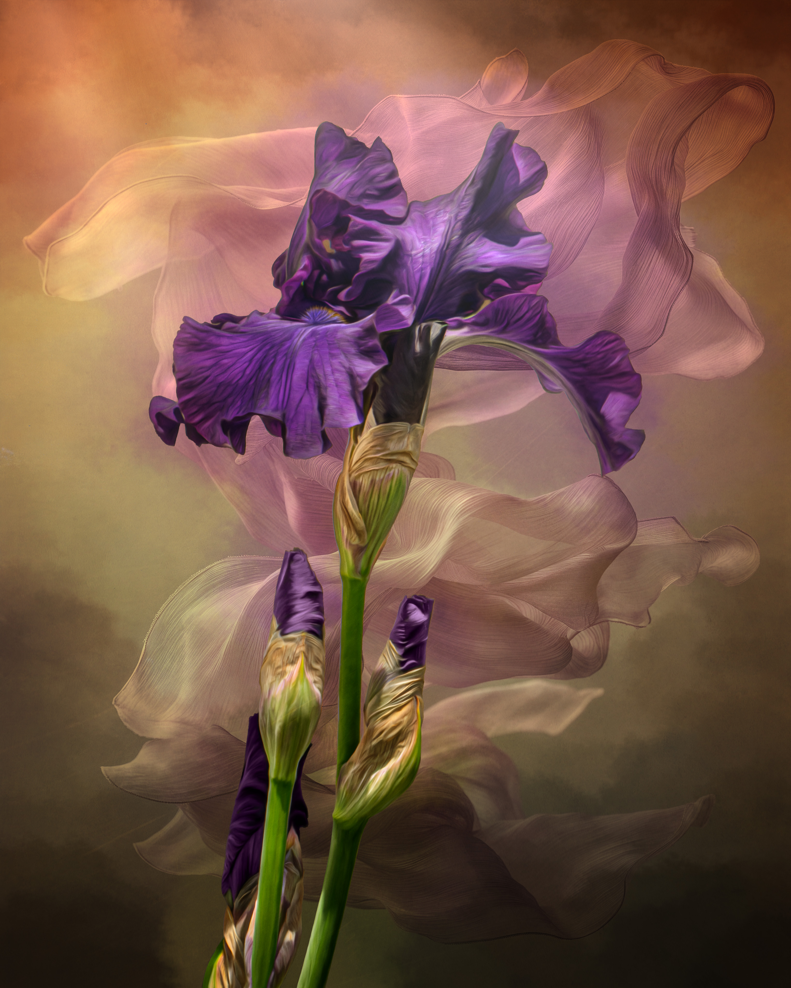 Dancing Iris_SMK1206.jpg