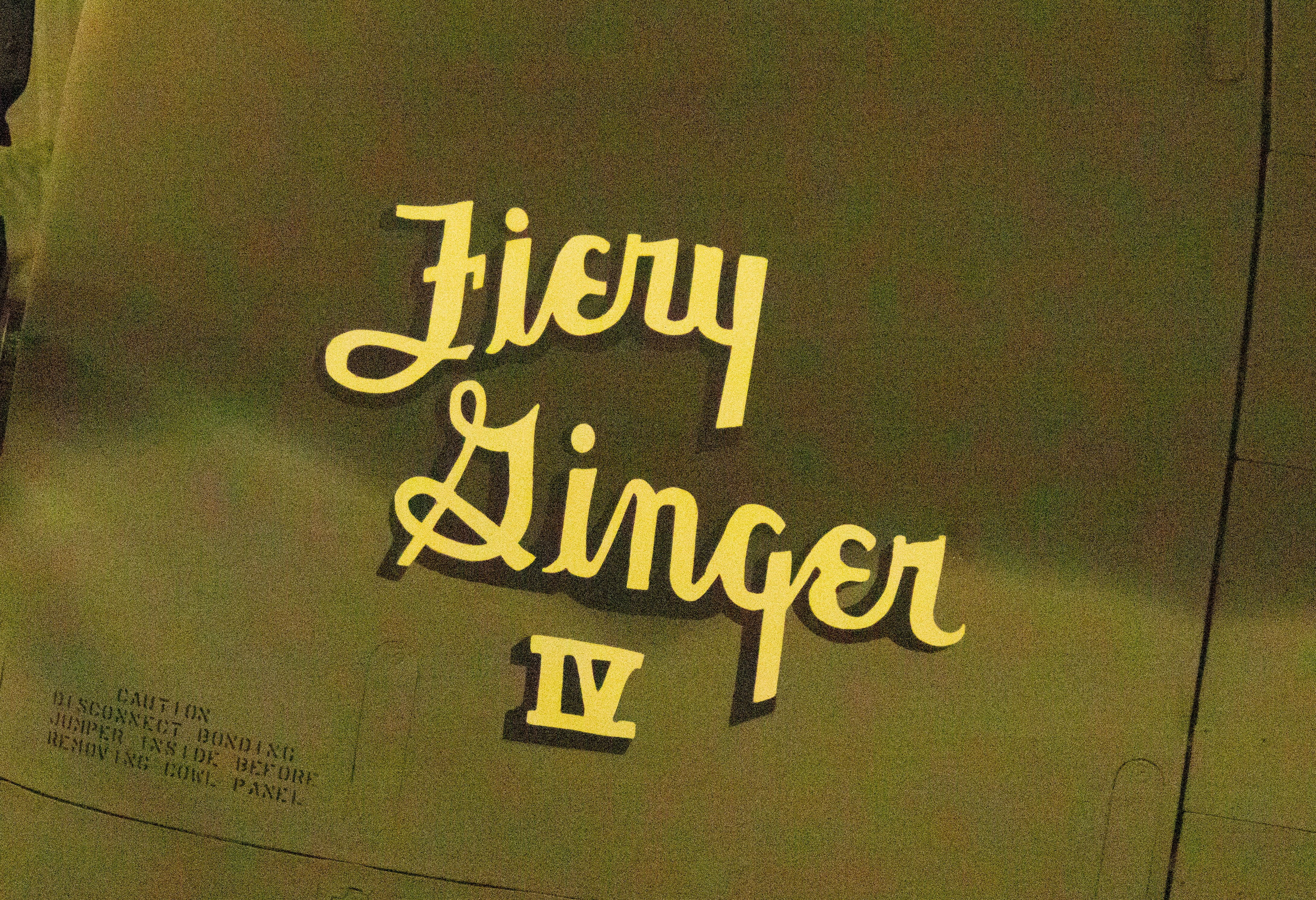 FIERY GINGER IV.jpg