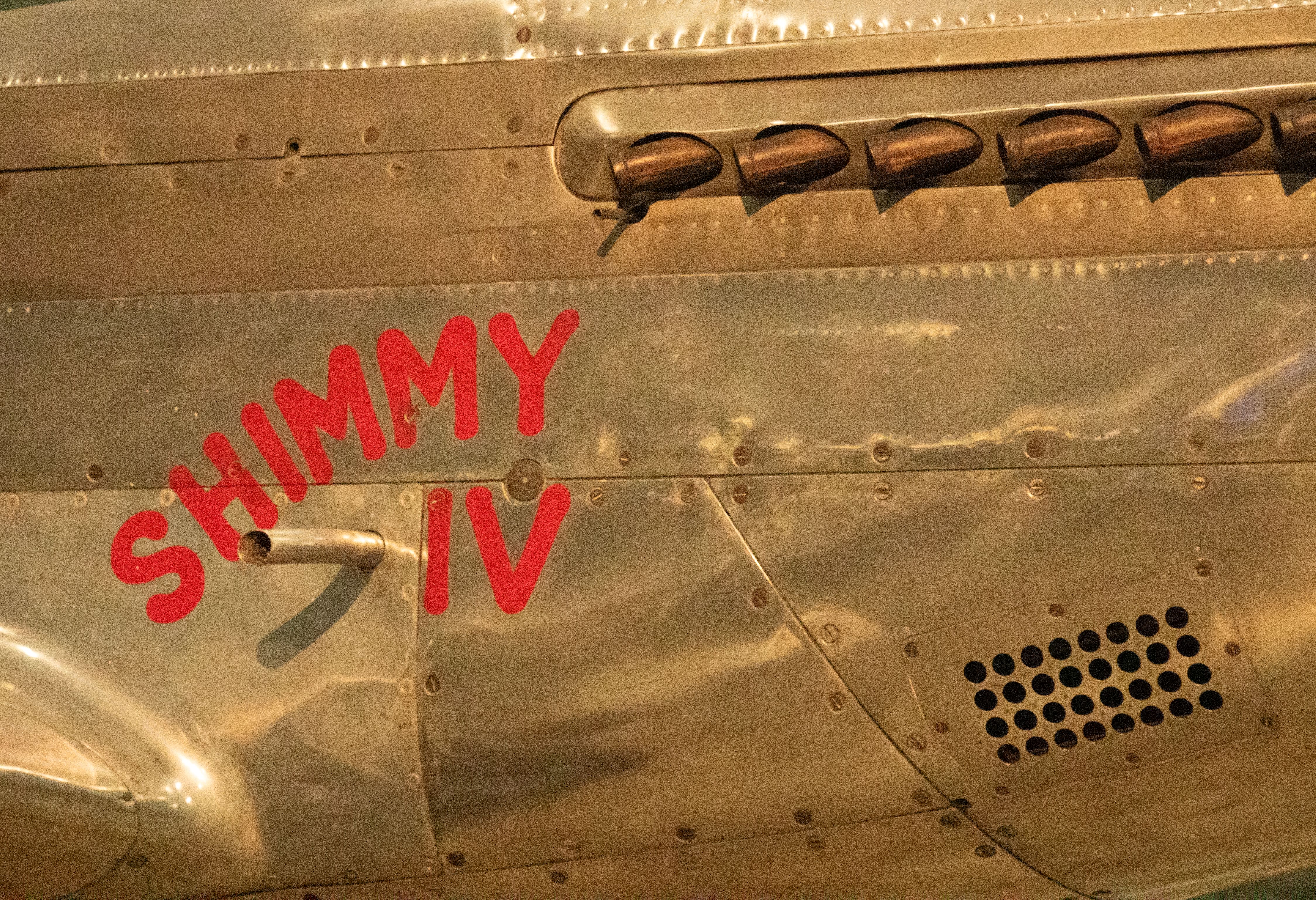 SHIMMY IV.jpg
