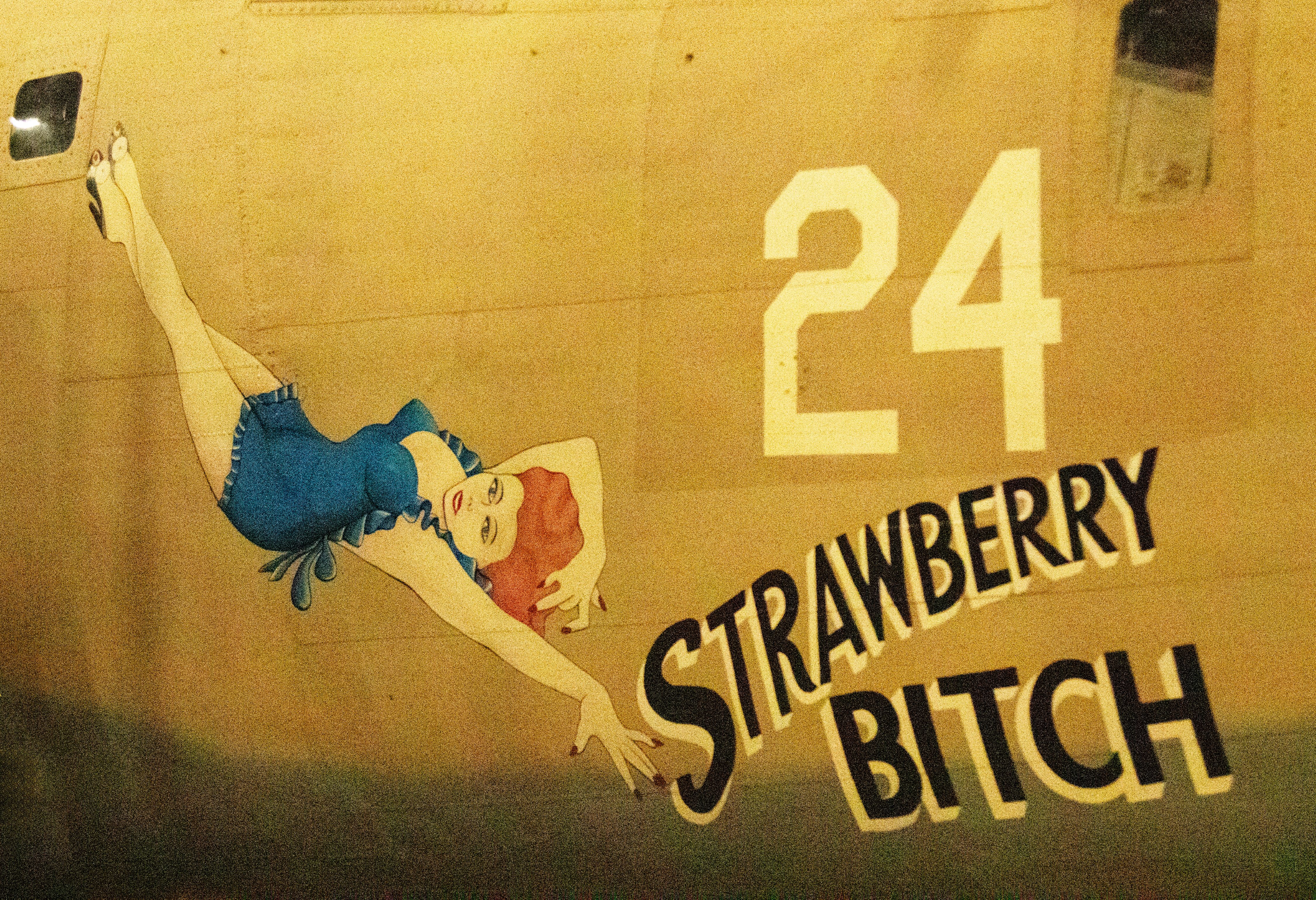 STRAWBERRY BITCH.jpg