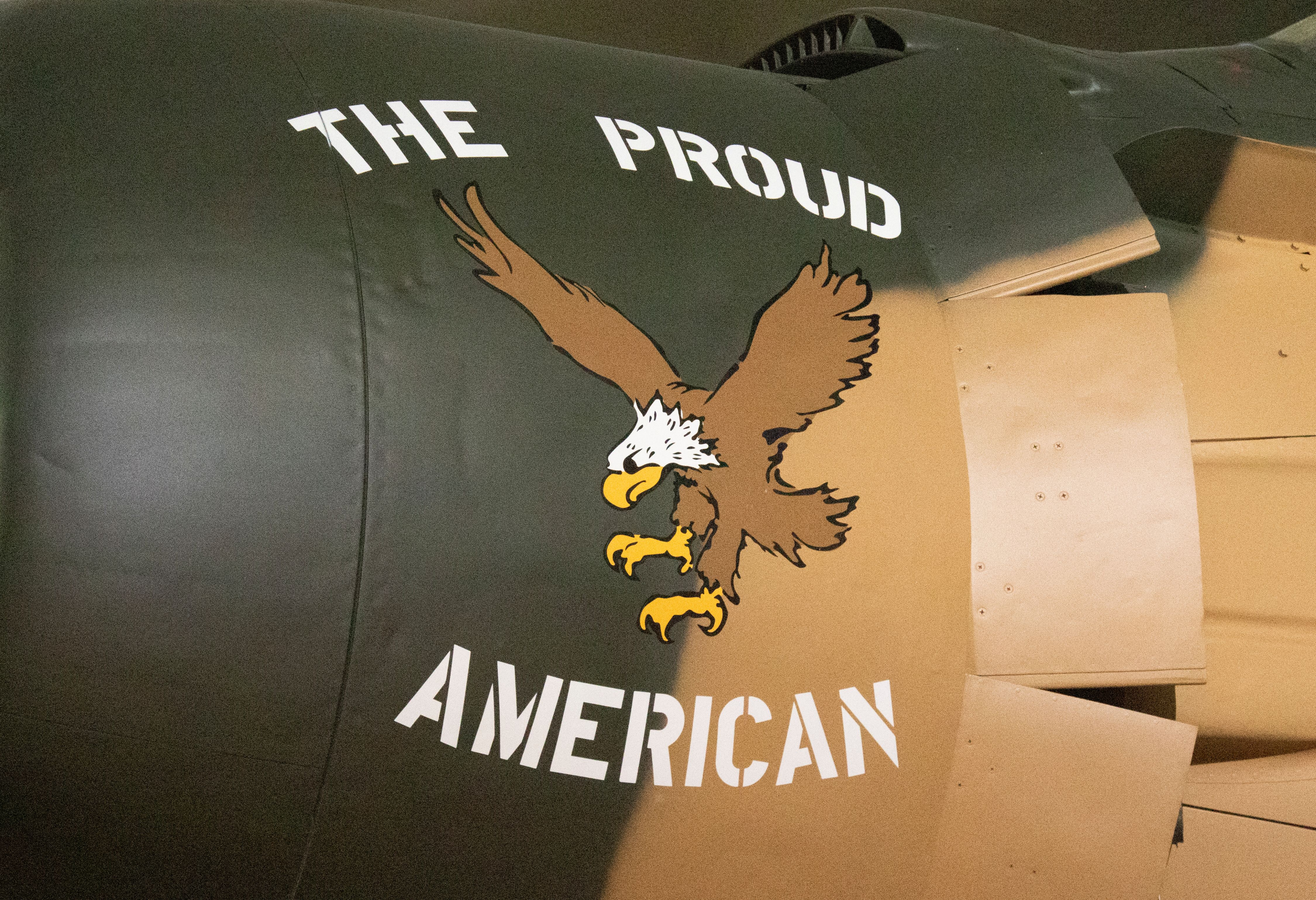 THE PROUD AMERICAN.jpg