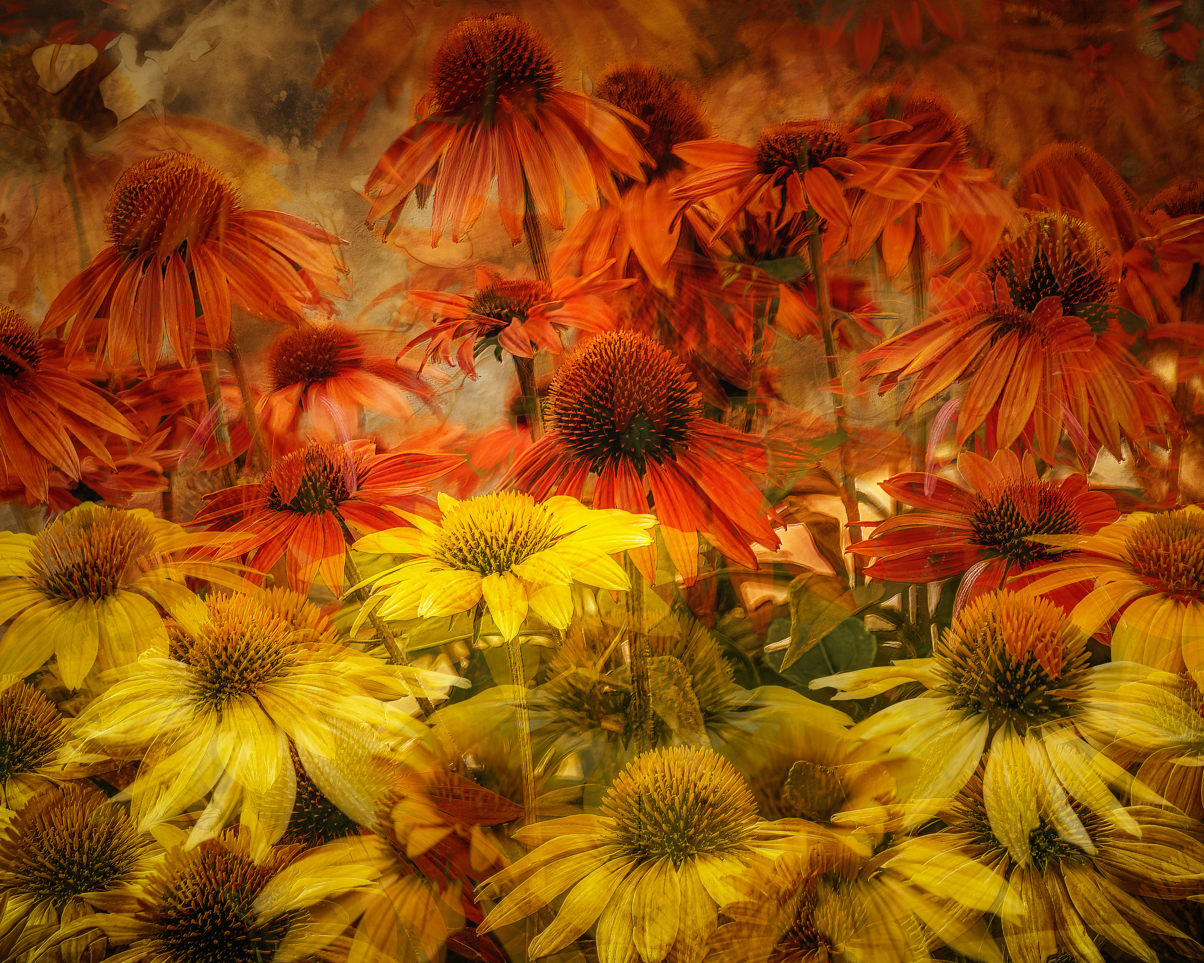 FIELDS OF FIRE AND GOLD