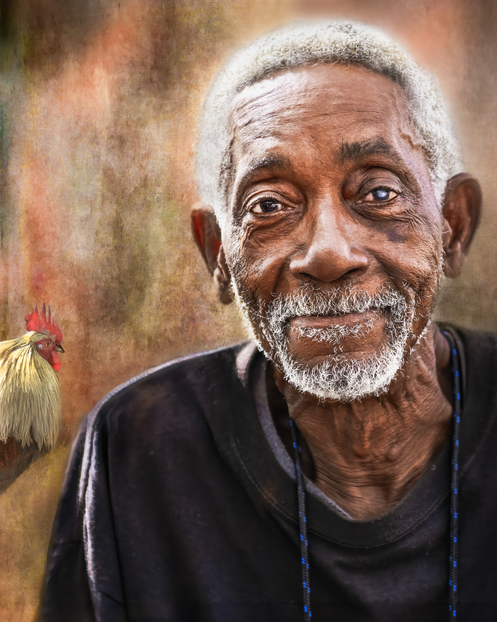 PORTFOLIO Two wise old birds.jpg