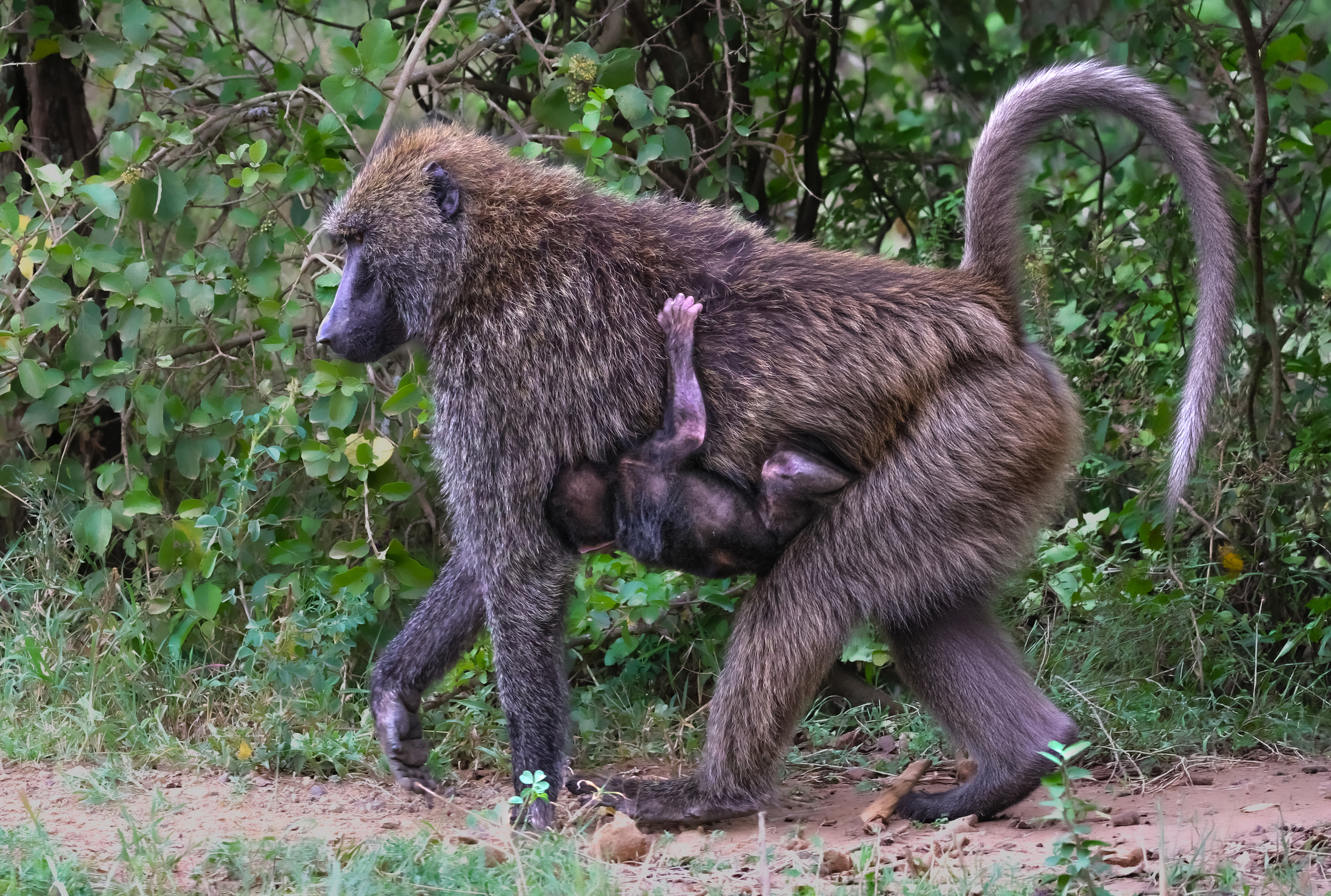 Hangin' With Mom.