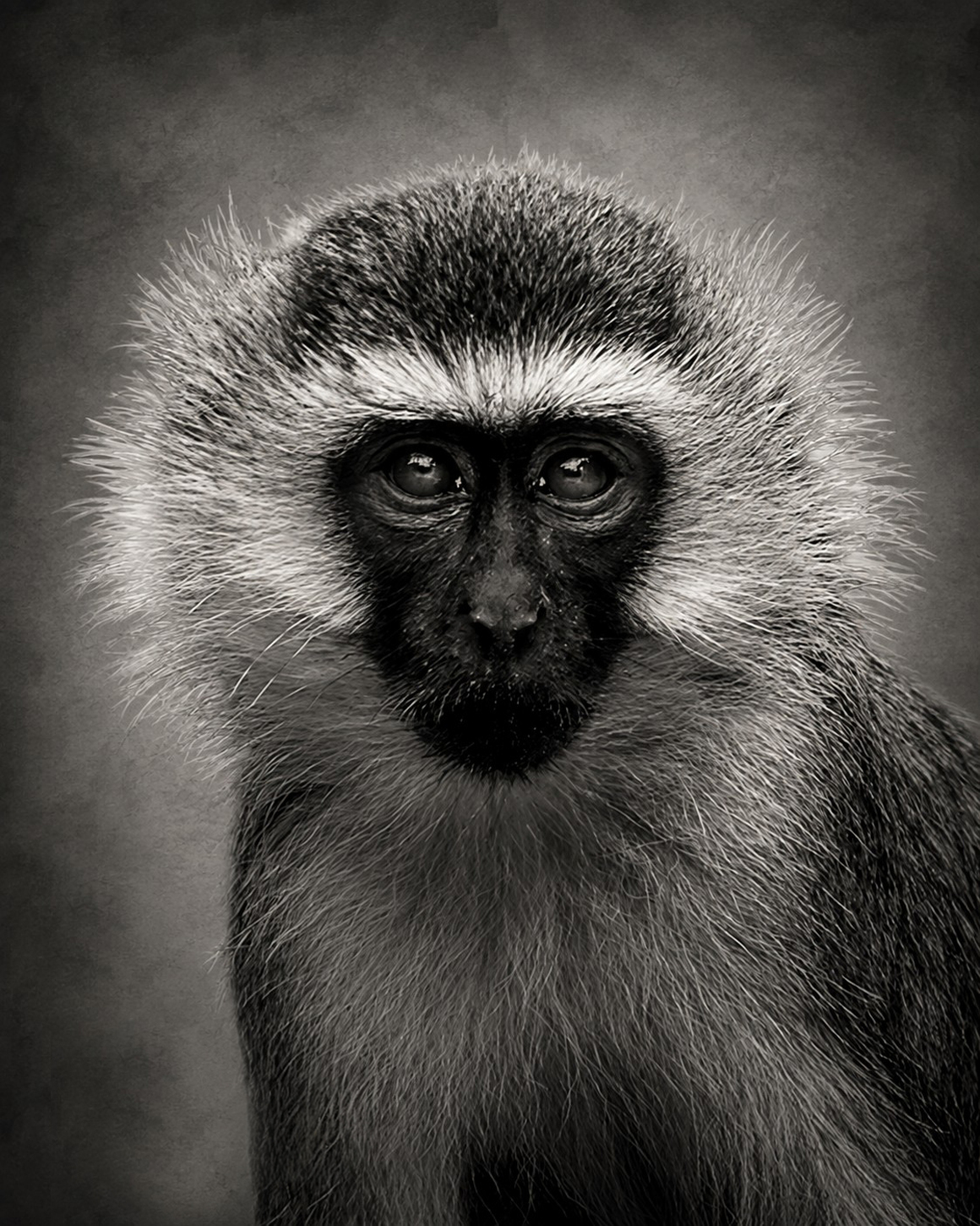 Eyes of Africa